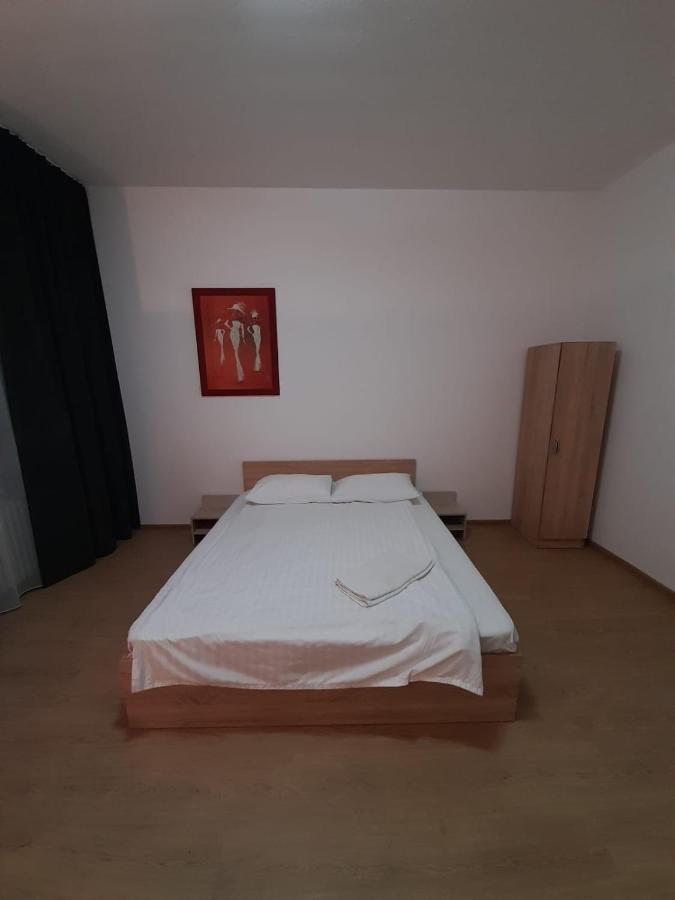 Piata Unirii- 1 Room Studio Apartment Timisoara Exterior photo